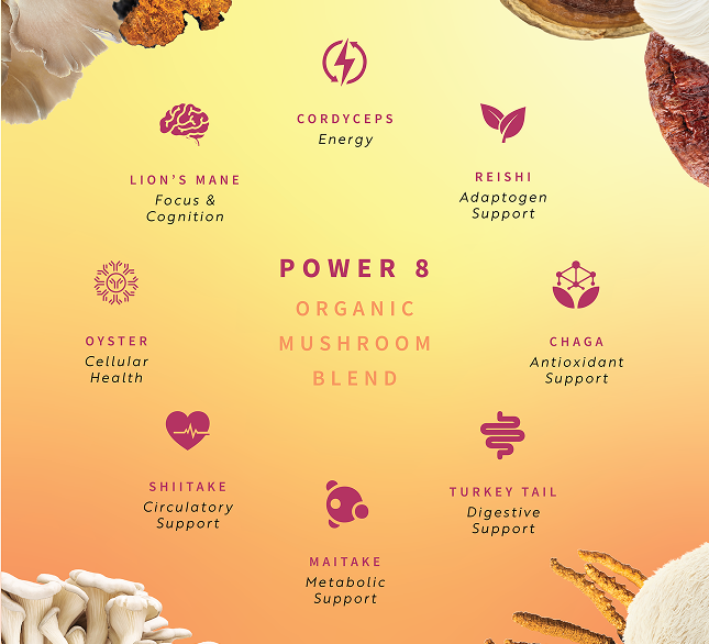 Mushroom Coffee for Morning Warriors