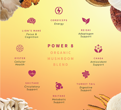 Mushroom Coffee for Morning Warriors